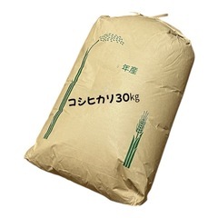 コシヒカリ30㎏　令和6年産　玄米