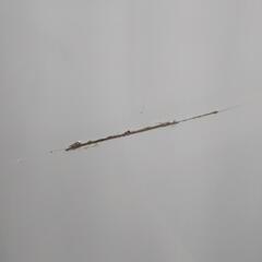 ★ジモティー割引有★ 日立 9.0kg全自動洗濯機 BW-V90B 2017年製 中古品