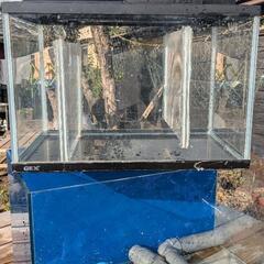 オーバーフロー水槽　60cm