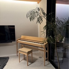 RoLand その他の中古が安い！激安で譲ります・無料であげます｜ジモティー 