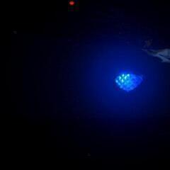 ★超極暖【Big Highパワー5.650kw鉄筋20畳】コロナ石油ファンヒーター