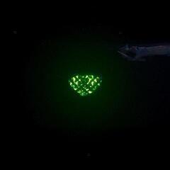 ★超極暖【Big Highパワー5.650kw鉄筋20畳】コロナ石油ファンヒーター