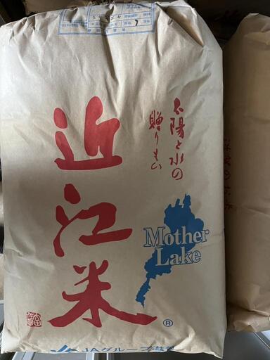 近江米新米　令和６年度産　キヌヒカリ玄米　30kg