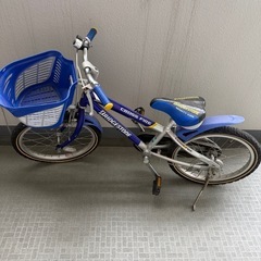 ブリヂストン子供用自転車18インチ 子供用自転車 ブリヂストン エコキッズスポーツ 18インチ