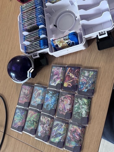 ポケモンフレンダ引退品