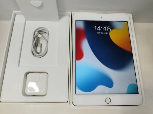 【Wi-Fiモデル】iPad mini 4/32GB/A1538〈FNY32J/A〉