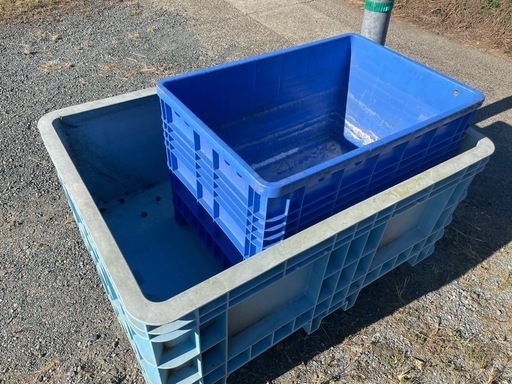 錦鯉飼育金魚飼育 　格安　1000l 水槽+ 500L 水槽