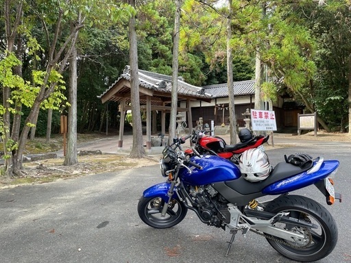 ホーネット250
