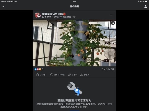 いちごタワー水耕栽培用