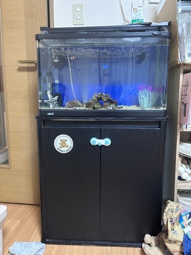 60センチ水槽セット\n