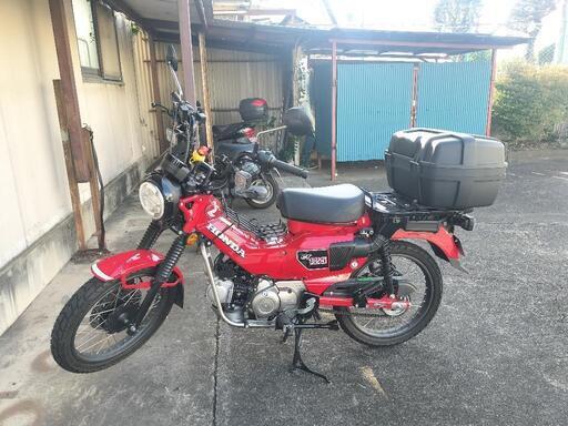 引き取り限定　ハンターカブ　CT125 元手38万