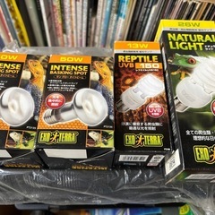 時々品物追加 爬虫類 飼育用品 新古品