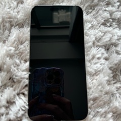 iPhone 15 pro max 256GB 本体