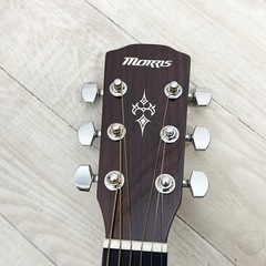 Morris M-351 CS モーリス アコースティックギター