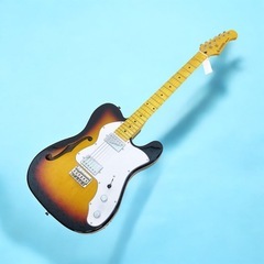 Donner テレキャスターシンライン エレキギター テレキャスター Donner テレキャスターシンライン エレキギター テレキャスター