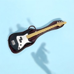 Aria pro Ⅱ VIPER series エレキベース アリアプロ