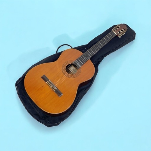 FERNANDES アコースティックギター GC-20 ソフトケース付