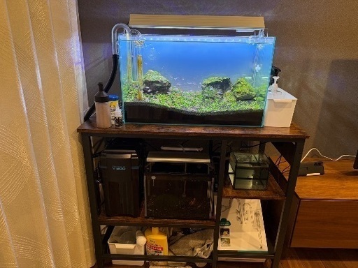 熱帯魚とアクアセット一式