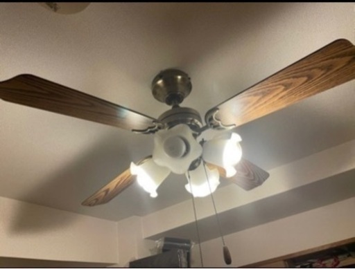 家具 照明器具