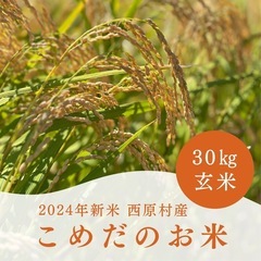 ※お客様確定　　❶【2024年新米】ヒノヒカリ　玄米30kg