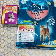 猫 用品