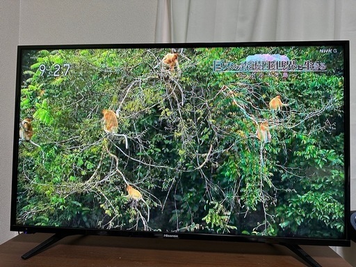Hisense 43型テレビ