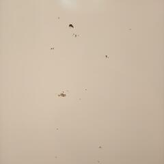 ★ジモティ割あり★ TOSHIBA　洗濯機　19年製　7.0kg　クリーニング済　YJ4160