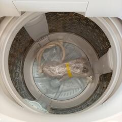 ★ジモティ割あり★ TOSHIBA　洗濯機　19年製　7.0kg　クリーニング済　YJ4160