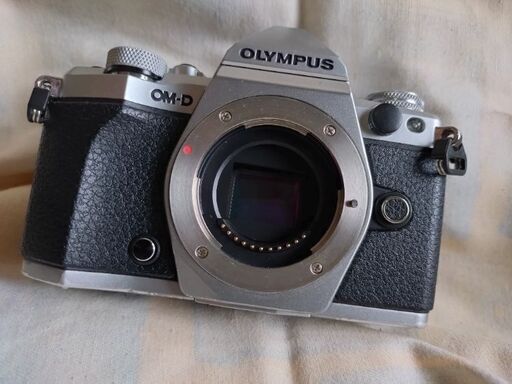 OLYMPUS オリンパス OM-D E-M5 MarkⅡ　★難あり
