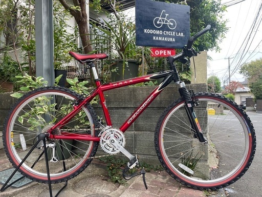 ビンテージMTB SCHWIN MOAB