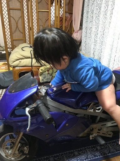ポケバイ