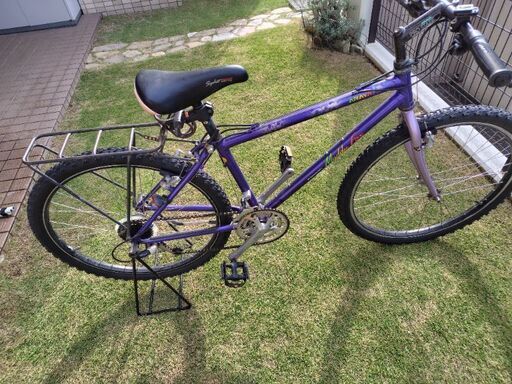 アラヤ、マディフォックス 引き取り限定 明日まで！25000円！アラヤ