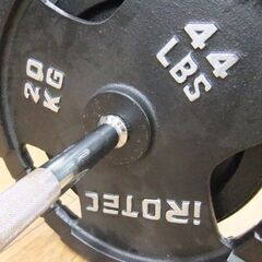 アイロテック バーベル シャフト プレート(20㎏×2) (10㎏×2) 計60㎏ カラー×2 計7点セット 44LBS 22LBS IROTEC 札幌市 厚別区