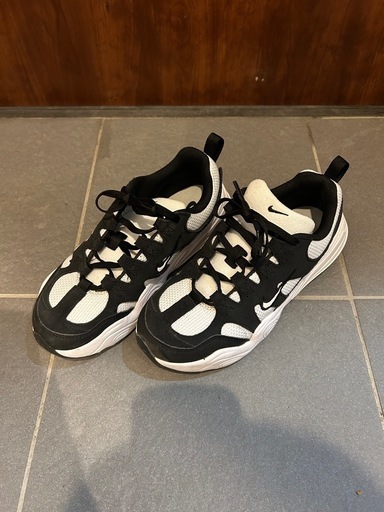 NIKEスニーカーテック　ヘラ