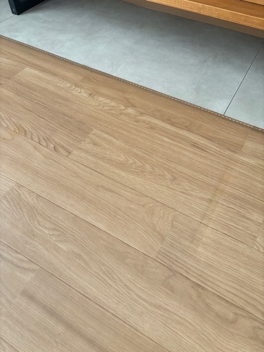 フローリング調ホットカーペット Panasonic かんたん床暖 DC-2V4 概要