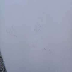 ★［F1806］TOSHIBA 2023年製　電気洗濯機　6kg