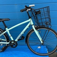 BRIDGETONE SCHLEIN 24 7変速
