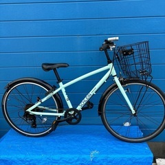 BRIDGETONE SCHLEIN 24 7変速
