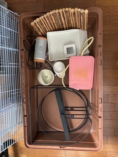 はりねずみ飼育セット\n
