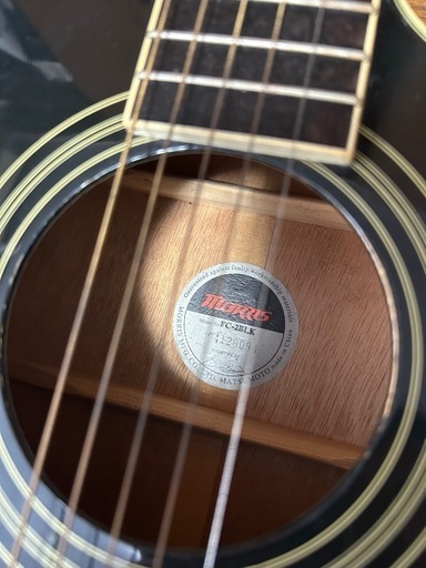 MORRIS RUMBLER MR-603 ギター MORRIS RUMBLER MR-603 ギター Morris MR-603 Rumbler 紹介 解説 仕様