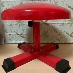 体操 円馬 器械体操 サークル 