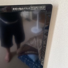 SHARP AQUOS亀山モデル60型　2011年