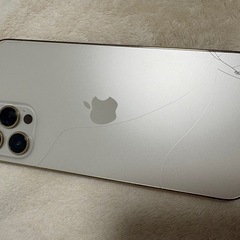 iPhone12proMAX256G - iPhone