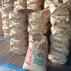 令和6年産　にこまる(新米)　300kg玄米【machi ☆品】 令和6年産 にこまる(新米) 300kg玄米【machi ☆品】 令和6年産