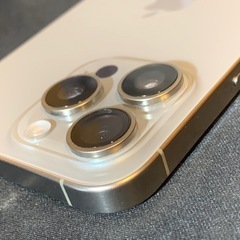 iPhone 15 Pro Max 256GB Appleケース付 