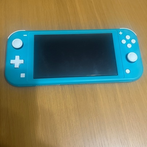 今夏１か月のみ使用の美品‼️スイッチライト（本体のみ）