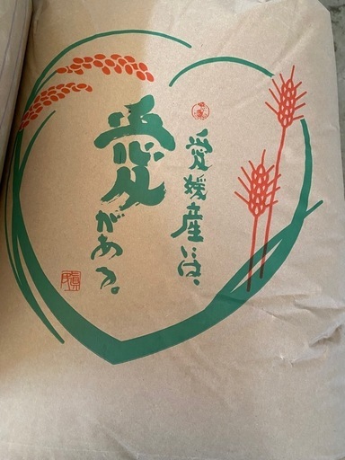 愛媛県産　ひめの凛　玄米30キロ