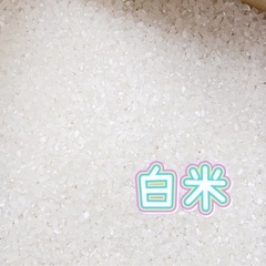 🩵ྀི❤️🩵ྀི新米ヒノヒカリ🌾白米25㌔❤️🩵ྀི❤️予約販売1️⃣1️⃣