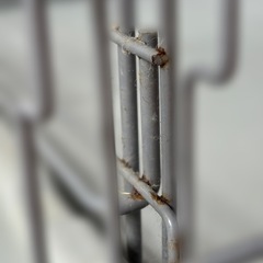 お値下げしました！】トイレのしつけができるペットケージ