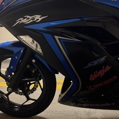 ニンジャ EX250L 超美車ETC2.0(引越しのため売ります)